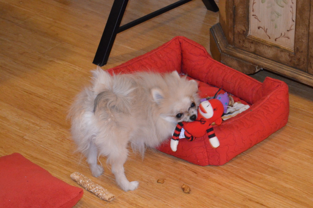 Her little bed of goodies