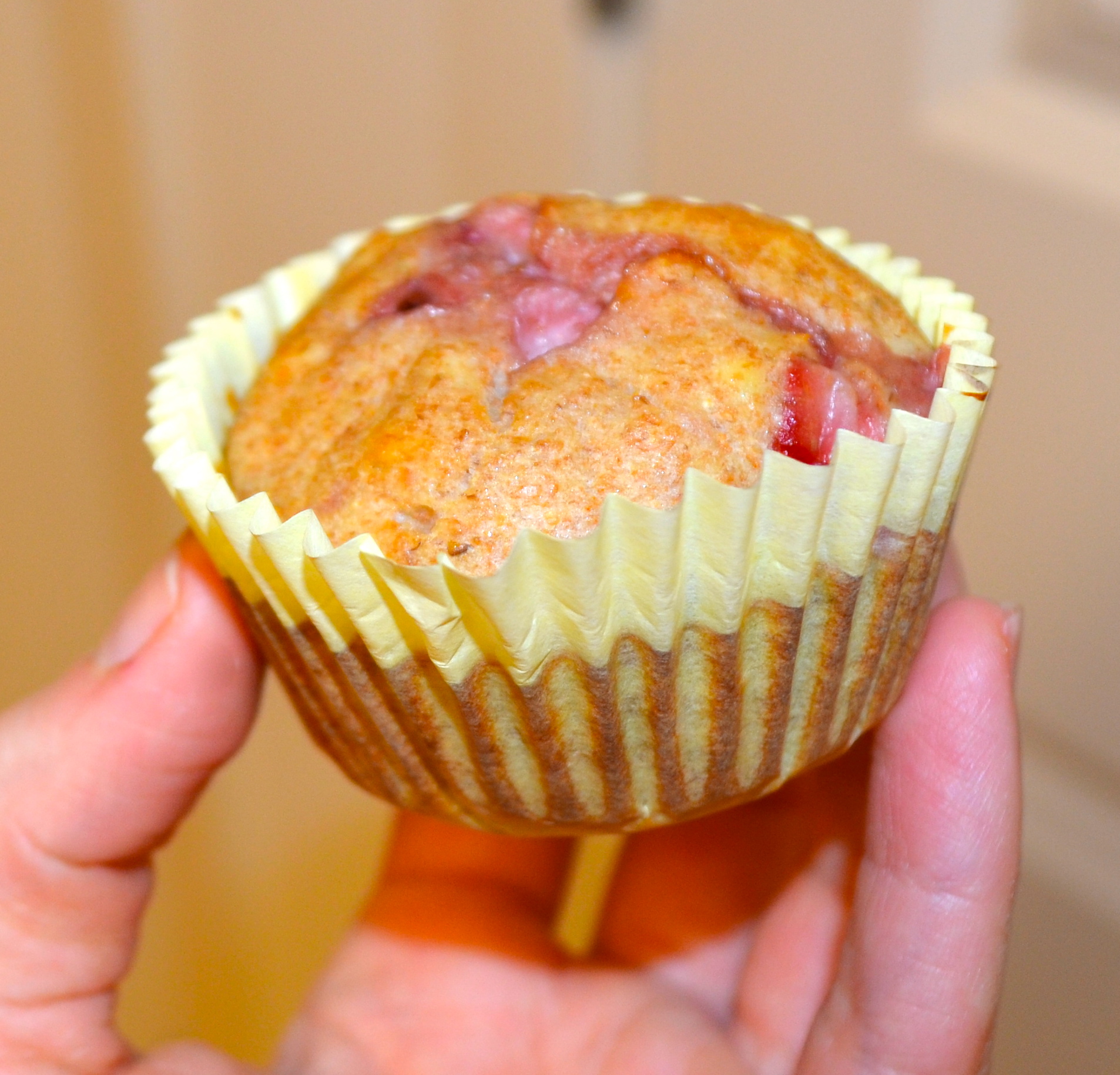 Coconut Berry Protein Muffin