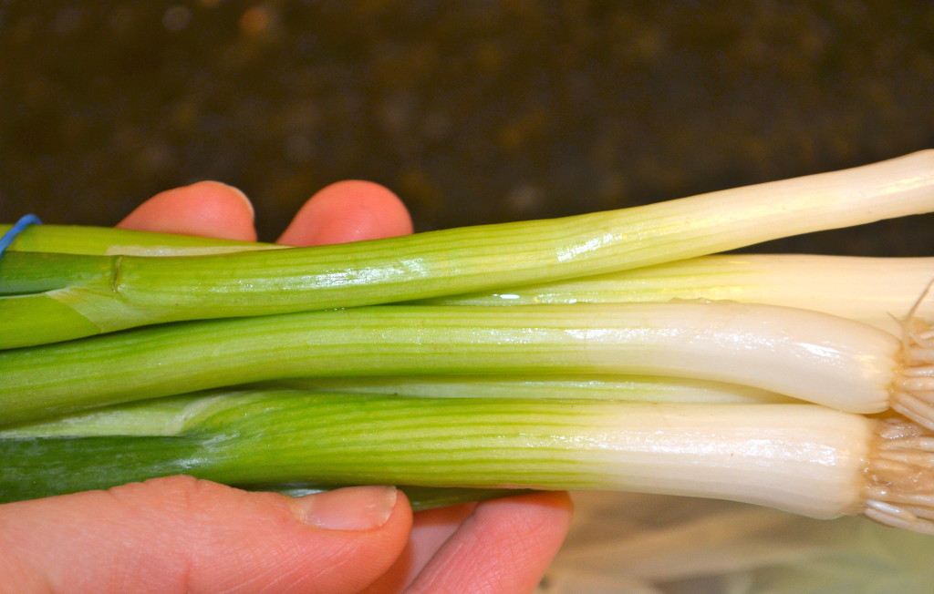 Green Onion