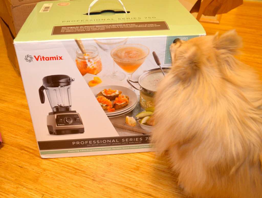 VITAMIX!!!!!!!!