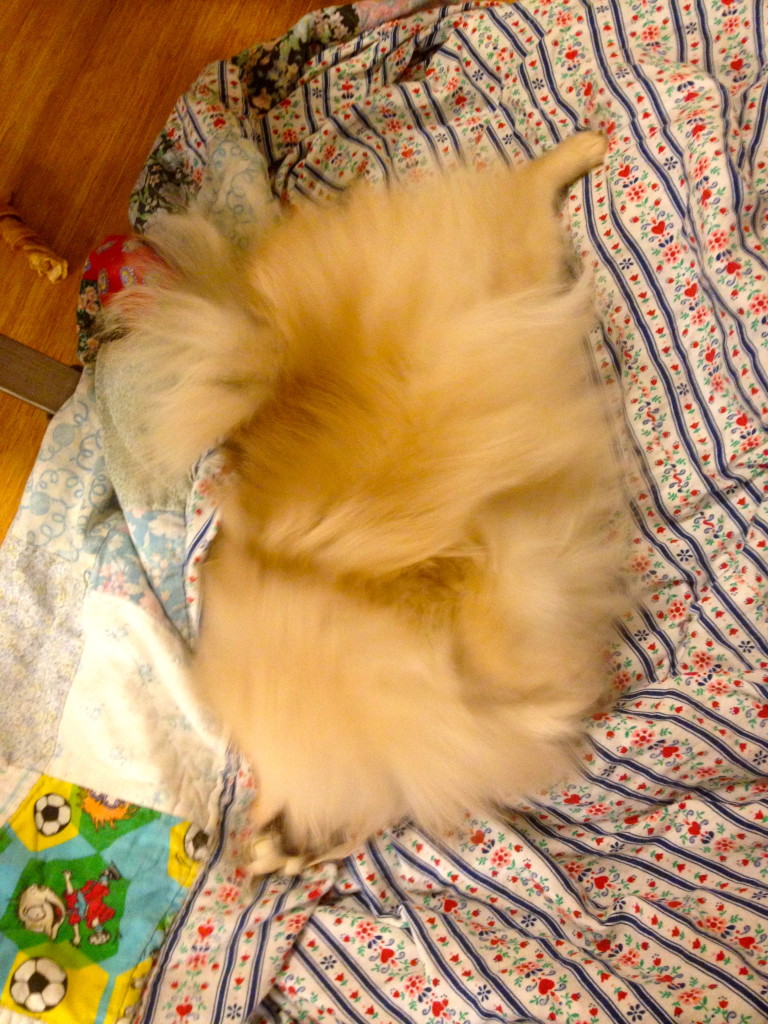 Rolling Around on the blanket
