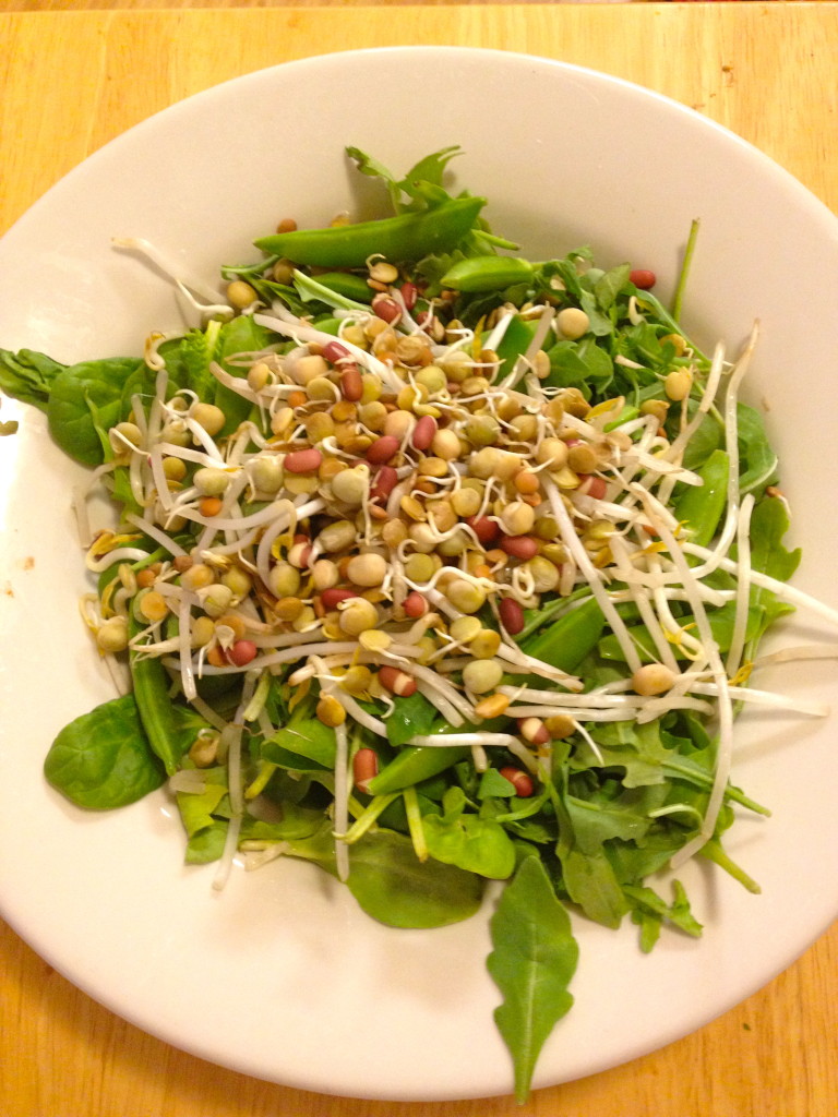 Spinach, arugula, sugar snap peas, bean sprouts, crunchy bean sprouts. All leftover crunchiness from my asian dish!