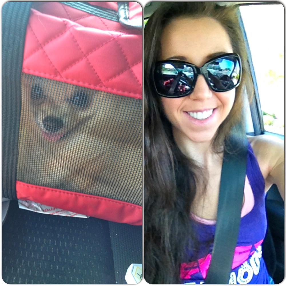 Our car ride!