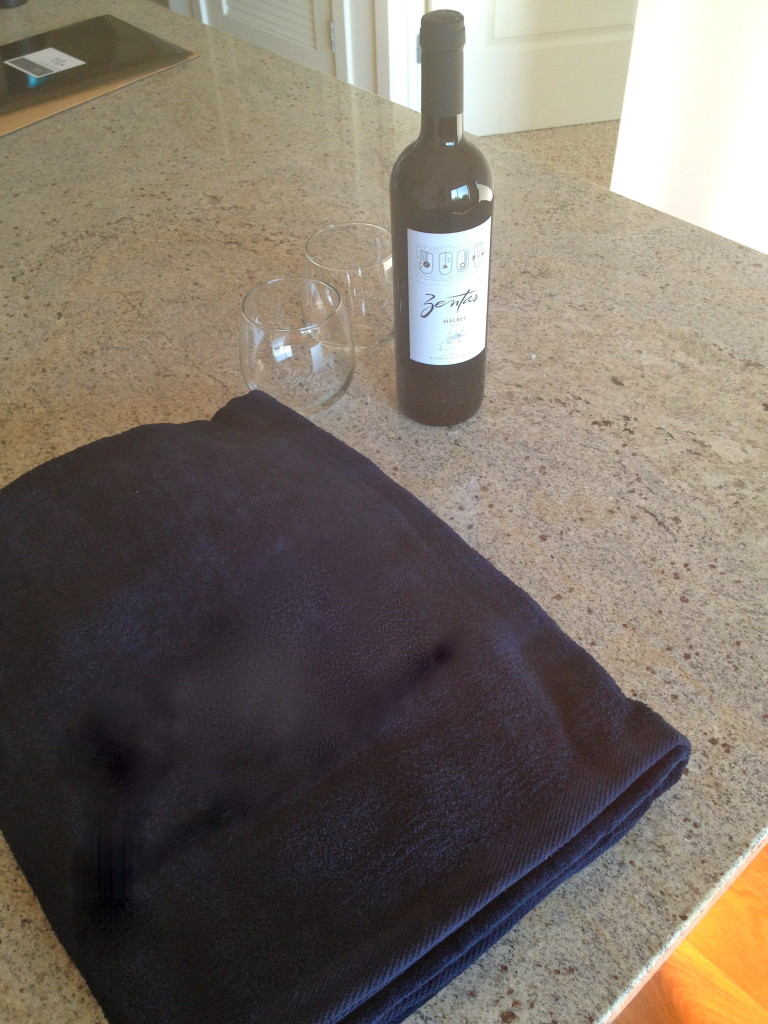 Blanket (sorry had to blur out the logo), bottle of wine and glasses! FANCY!