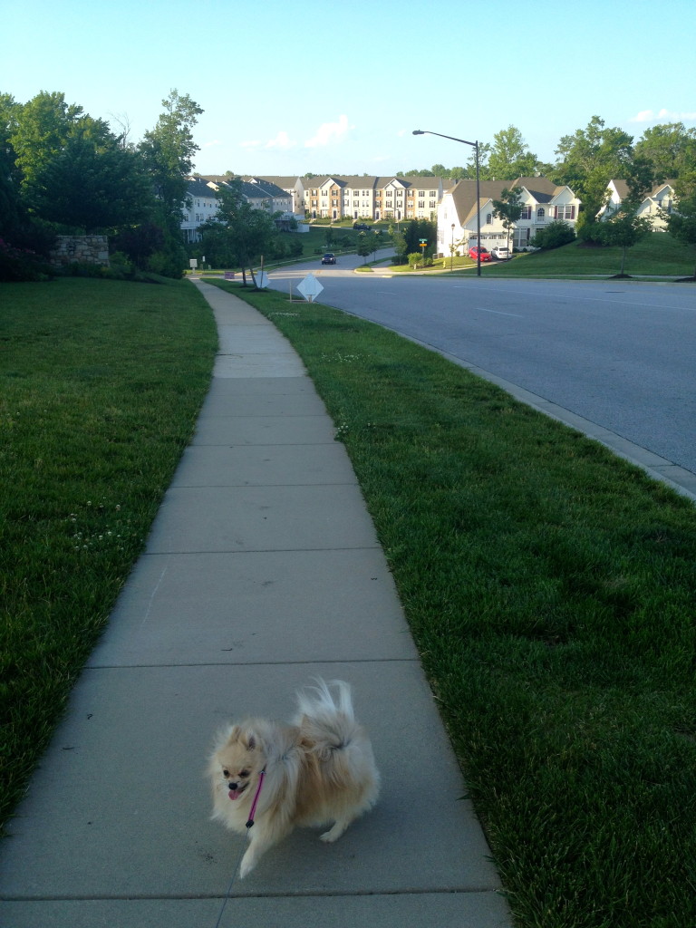 Walking in the neighborhood 