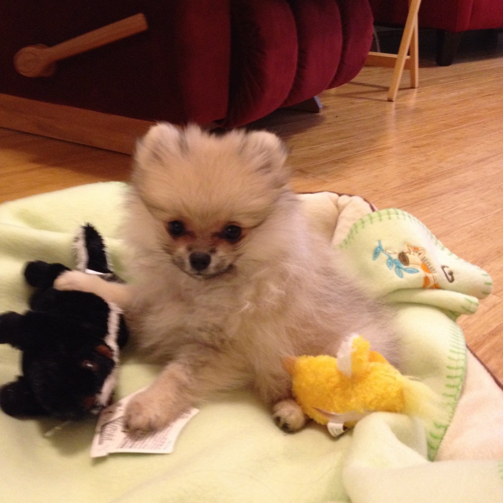 First day in the new bed. Ducky was CLEAN!