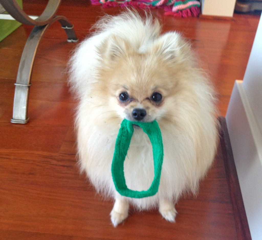 My FitBloggin' sweatband. It reads "free hugs", maybe she was trying to tell me something... 