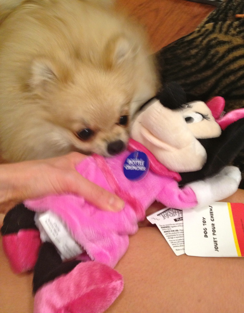 minnie phoebe toy