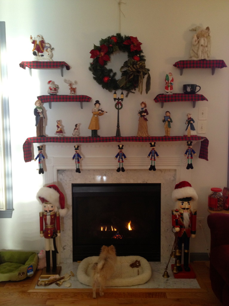 Phoebe checking out the fireplace