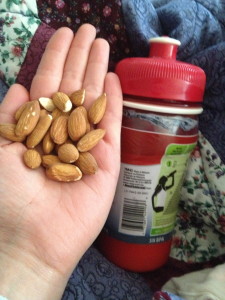 I always grab the 100 calorie pack almonds