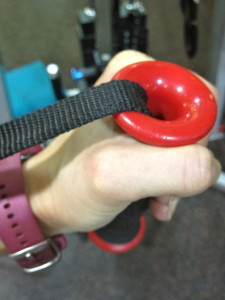 Grab this type of handle for torso rotations, but both hands clasp