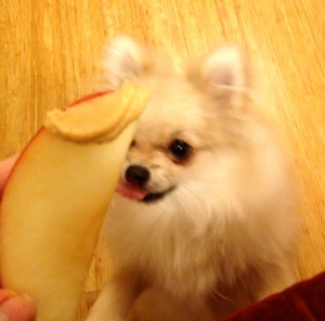 Phoebe jumped in the shot! Mmmm Peanut Butter!