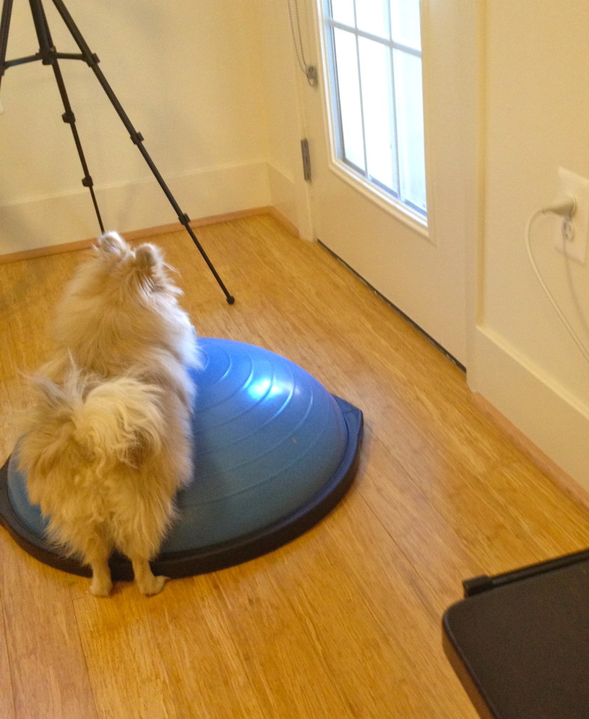 Stretch it out on the bosu Phoebs!