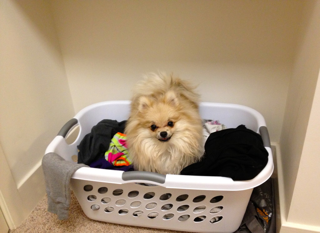 Laundry Baby