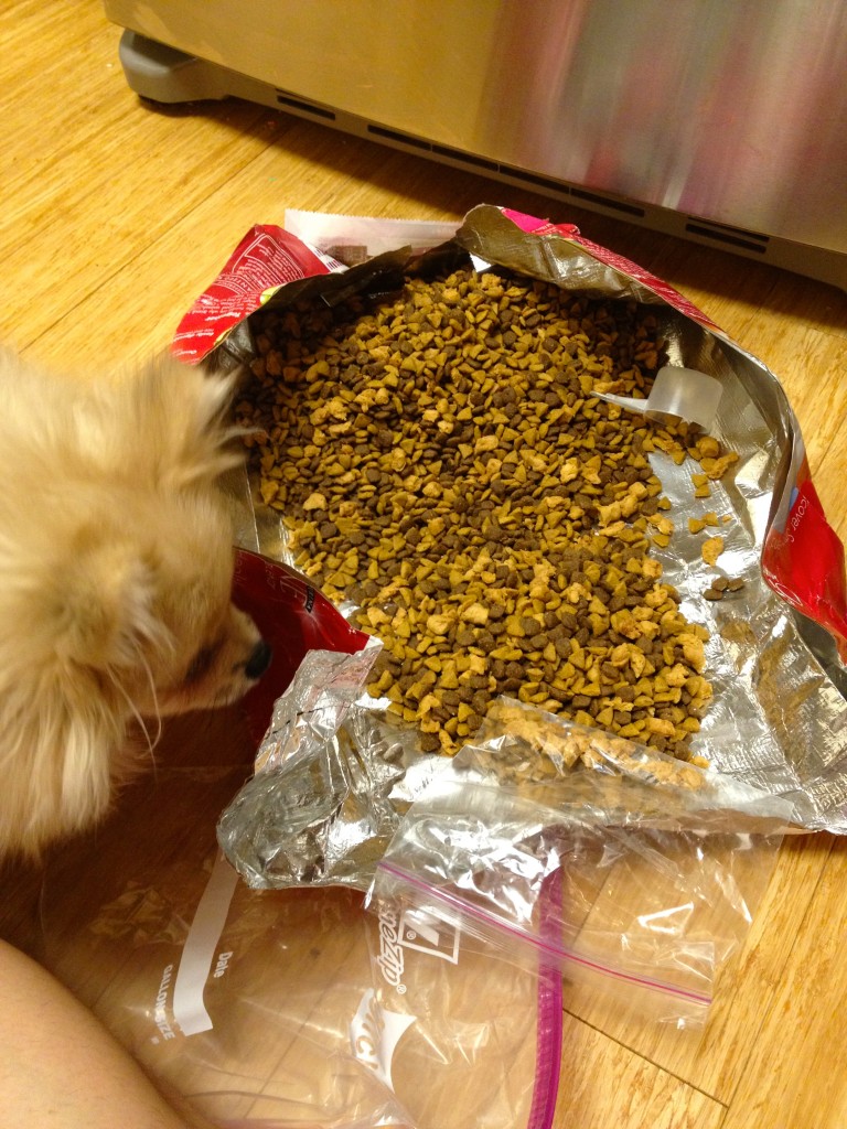 YES this is exactly what it looks like I am separating Phoebe's dog food. 